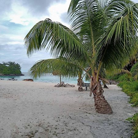 Eden Island Apartment 70A14 Ngoại thất bức ảnh